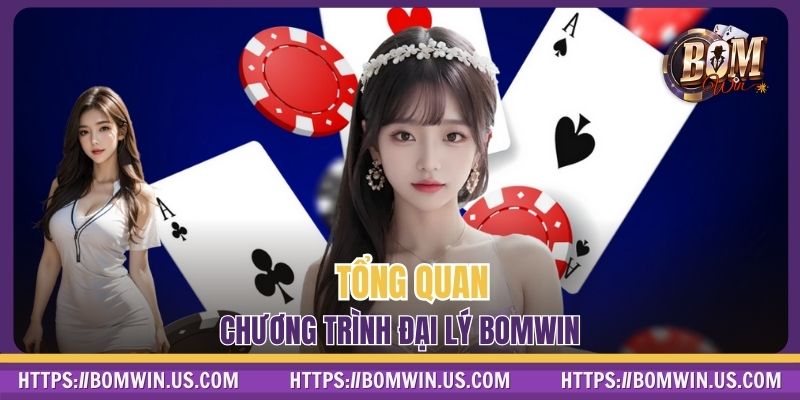 Tổng quan chương trình đại lý BOMWIN